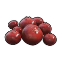 Frutinhas Vermelhas